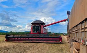 ‘Plano Safra com taxa de dois dígitos pode levar a crise forte no agro em 2022’, diz diretor da CNA (Crédito: Repórter Agro/Tiago Seiffert)