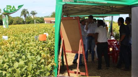 VII Encontro de Variedades de Soja e Tecnologias - Fazenda Santa Rita