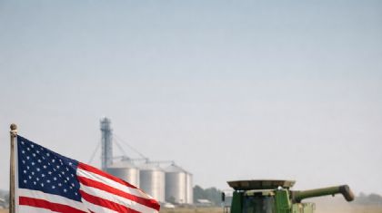 Queda no plantio de arroz nos EUA acende alerta para oferta mundial e press�o nos pre�os (Cr&eacute;dito: Banco de imagens)