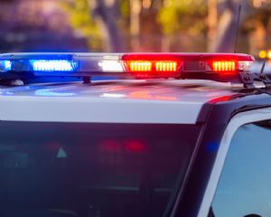 Opera��o policial investiga desvio milion�rio de mais de 2.300 cabe�as de gado na Fronteira Oeste do RS (Cr&eacute;dito: Banco de imagens)