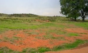 Produtor compra fazenda em leil�o judicial e pode perder propriedade sem nunca ter sido citado no processo (Cr&eacute;dito: Reprodu��o)