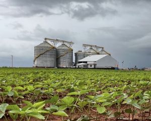 Plantio da safra 2026/27 avan�a no Brasil sob expectativa de nova produ��o recorde (Cr&eacute;dito: Arquivo Pessoal)