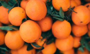 Citros/Cepea: Pre�o da laranja recua e fica abaixo do registrado em 2025 (Cr&eacute;dito: Banco de imagens)