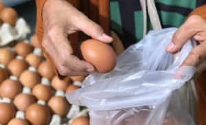 Mercado de ovos enfrenta queda nos pre�os ap�s feriados (Cr&eacute;dito: Banco de imagens)