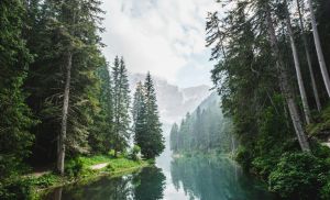 Alta do petr�leo muda estrat�gia do setor sucroenerg�tico (Cr&eacute;dito: Reprodu��o)