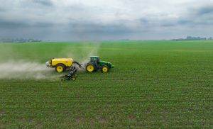 Milho recua em Chicago com press�o de estoques nos EUA (Cr&eacute;dito: Reprodu��o)