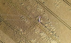 Famato alerta sobre impacto do Prodes no acesso ao cr�dito rural (Cr&eacute;dito: Reprodu��o)