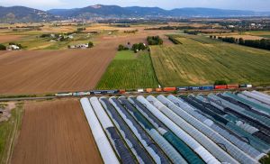 Log�stica e custos amea�am exporta��es do agro brasileiro (Cr&eacute;dito: Reprodu��o)