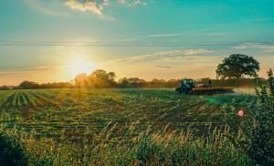 Cr�dito rural em alta impulsiona busca por alternativas no agro (Cr&eacute;dito: Reprodu��o)