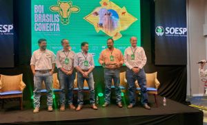 Famato destaca bem-estar animal para efici�ncia e rentabilidade da pecu�ria durante o boi brasilis conecta 2026 (Cr&eacute;dito: Banco de imagens)
