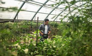 Tecnologia avan�a e transforma a produtividade no campo (Cr&eacute;dito: Reprodu��o)