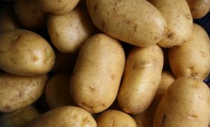 Pre�os da batata seguem est�veis, mas demanda deve aquecer (Cr&eacute;dito: Reprodu��o)