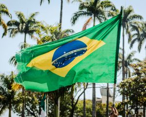 Fl�vio Bolsonaro faz aceno ao agro e promete simplificar o Plano Safra em visita a MT (Cr&eacute;dito: Reprodu��o)