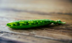Demanda sustenta rea��o do feij�o carioca; preto segue pressionado (Cr&eacute;dito: Reprodu��o)