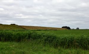 Clima irregular preocupa produtores e eleva riscos no campo (Cr&eacute;dito: Reprodu��o)