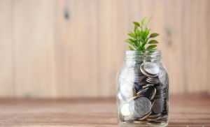 Custos de produ��o seguem pressionando margens no agro (Cr&eacute;dito: Reprodu��o)