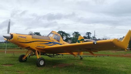 Dia de Campo Fazenda Santa Rita
