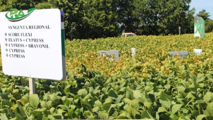 VII Encontro de Variedades de Soja e Tecnologias - Fazenda Santa Rita