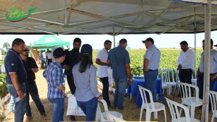 VII Encontro de Variedades de Soja e Tecnologias - Fazenda Santa Rita