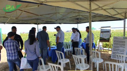 VII Encontro de Variedades de Soja e Tecnologias - Fazenda Santa Rita