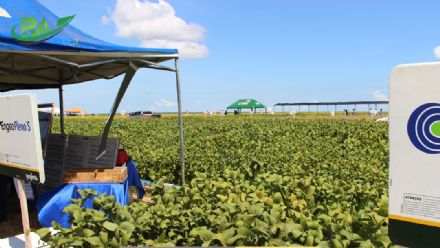 VII Encontro de Variedades de Soja e Tecnologias - Fazenda Santa Rita
