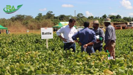 VII Encontro de Variedades de Soja e Tecnologias - Fazenda Santa Rita