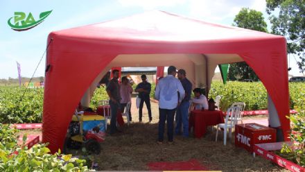 VII Encontro de Variedades de Soja e Tecnologias - Fazenda Santa Rita