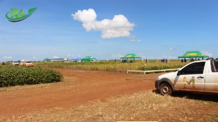 VII Encontro de Variedades de Soja e Tecnologias - Fazenda Santa Rita