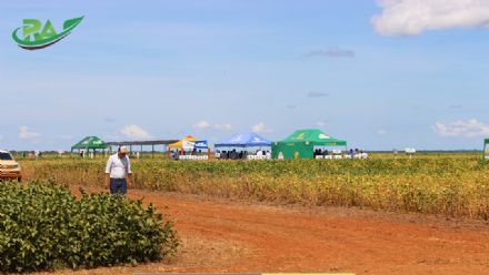 VII Encontro de Variedades de Soja e Tecnologias - Fazenda Santa Rita