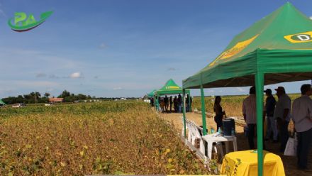VII Encontro de Variedades de Soja e Tecnologias - Fazenda Santa Rita