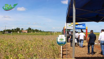 VII Encontro de Variedades de Soja e Tecnologias - Fazenda Santa Rita