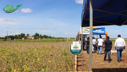 VII Encontro de Variedades de Soja e Tecnologias - Fazenda Santa Rita