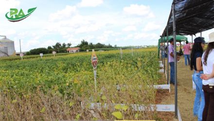VII Encontro de Variedades de Soja e Tecnologias - Fazenda Santa Rita