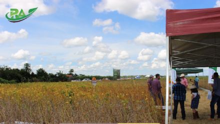 VII Encontro de Variedades de Soja e Tecnologias - Fazenda Santa Rita
