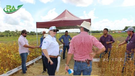VII Encontro de Variedades de Soja e Tecnologias - Fazenda Santa Rita