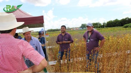 VII Encontro de Variedades de Soja e Tecnologias - Fazenda Santa Rita