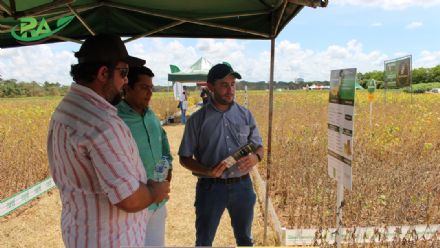 VII Encontro de Variedades de Soja e Tecnologias - Fazenda Santa Rita