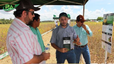 VII Encontro de Variedades de Soja e Tecnologias - Fazenda Santa Rita
