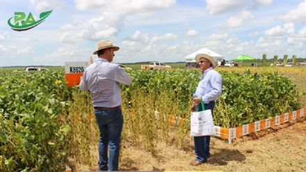 VII Encontro de Variedades de Soja e Tecnologias - Fazenda Santa Rita