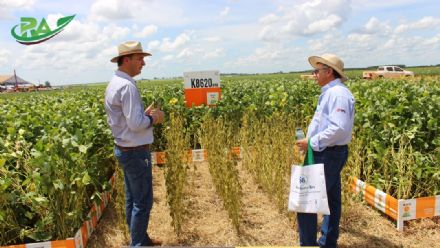 VII Encontro de Variedades de Soja e Tecnologias - Fazenda Santa Rita