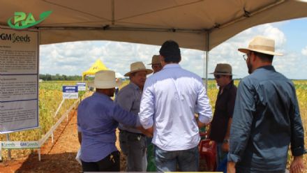 VII Encontro de Variedades de Soja e Tecnologias - Fazenda Santa Rita