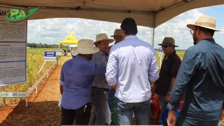 VII Encontro de Variedades de Soja e Tecnologias - Fazenda Santa Rita