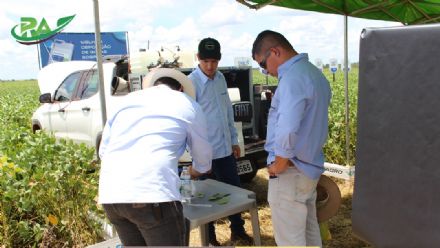 VII Encontro de Variedades de Soja e Tecnologias - Fazenda Santa Rita