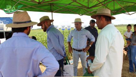 VII Encontro de Variedades de Soja e Tecnologias - Fazenda Santa Rita