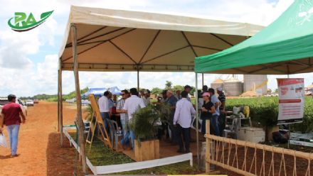 VII Encontro de Variedades de Soja e Tecnologias - Fazenda Santa Rita