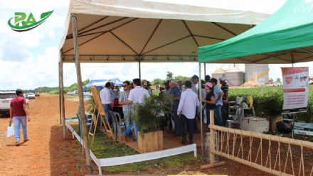 VII Encontro de Variedades de Soja e Tecnologias - Fazenda Santa Rita