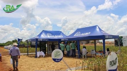 VII Encontro de Variedades de Soja e Tecnologias - Fazenda Santa Rita