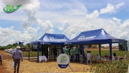 VII Encontro de Variedades de Soja e Tecnologias - Fazenda Santa Rita