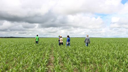 Campanha o Agro � delas, vencedora Thamilles