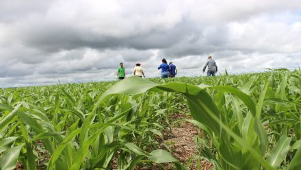 Campanha o Agro � delas, vencedora Thamilles